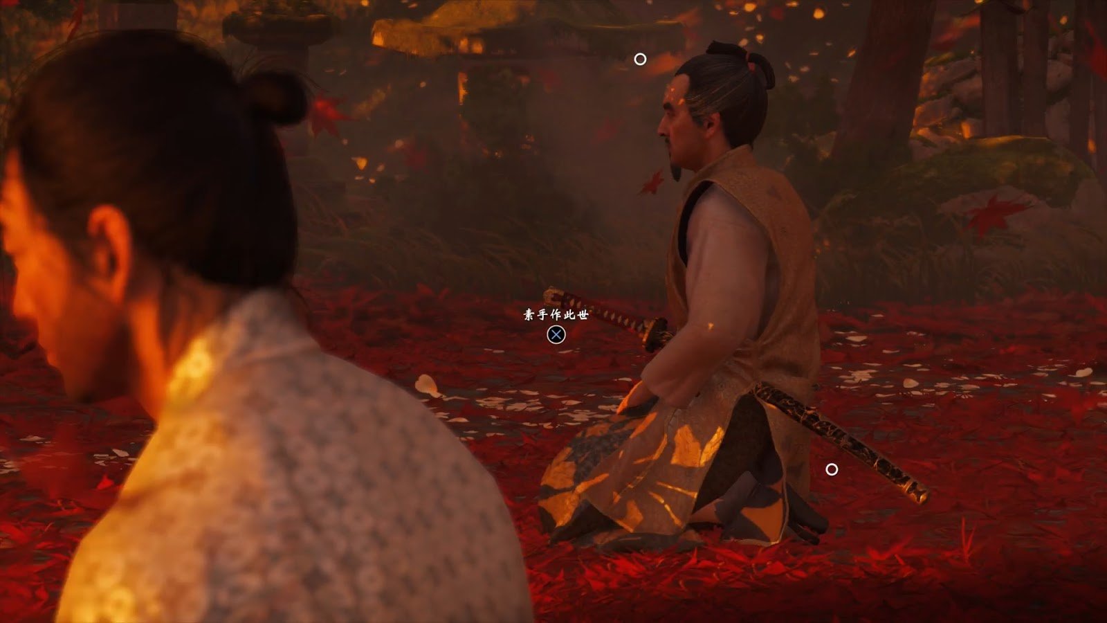 塞尔达传说：旷野之息 豪华版 截图9