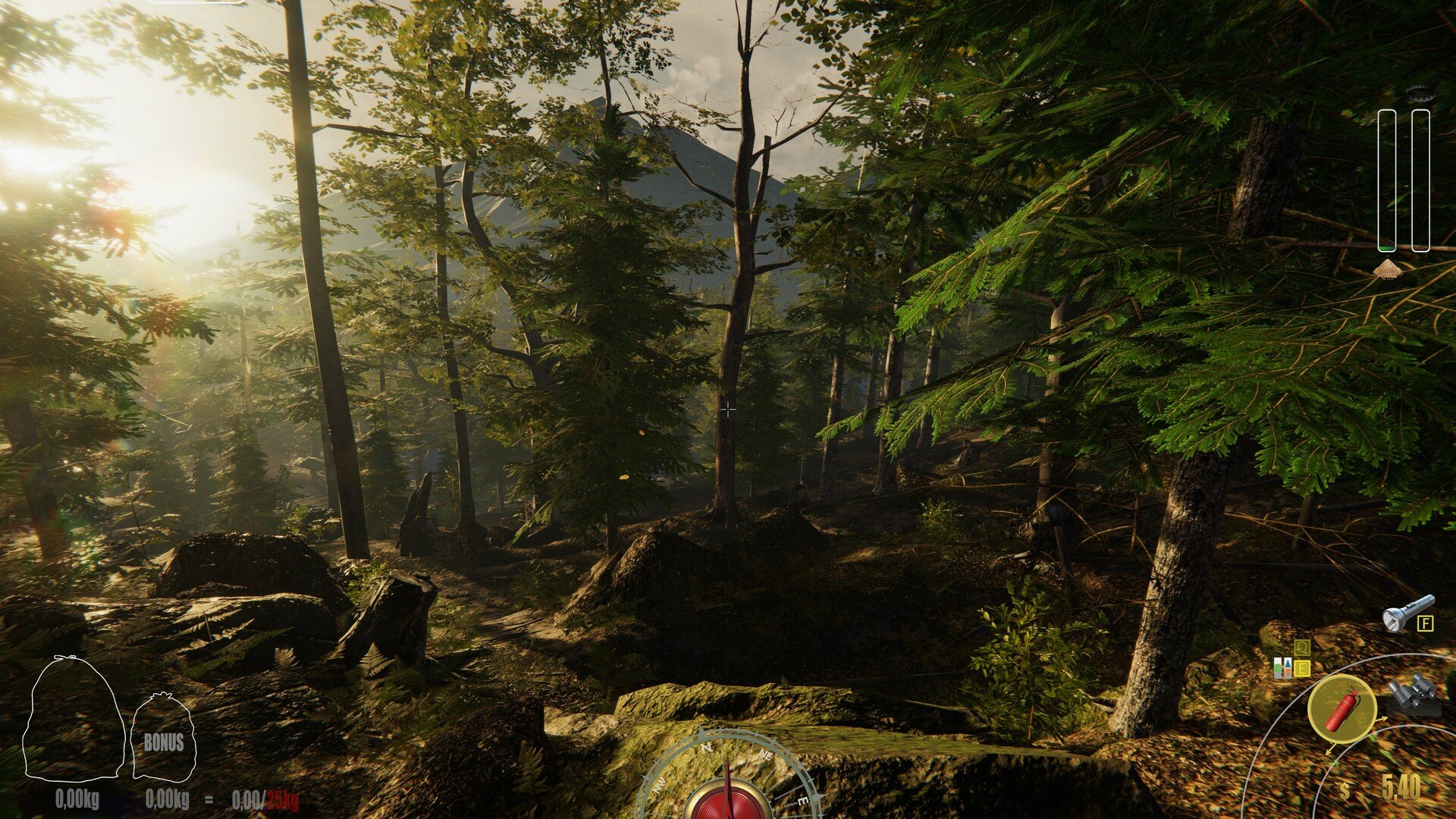 只狼：影逝二度 完整版 截图21