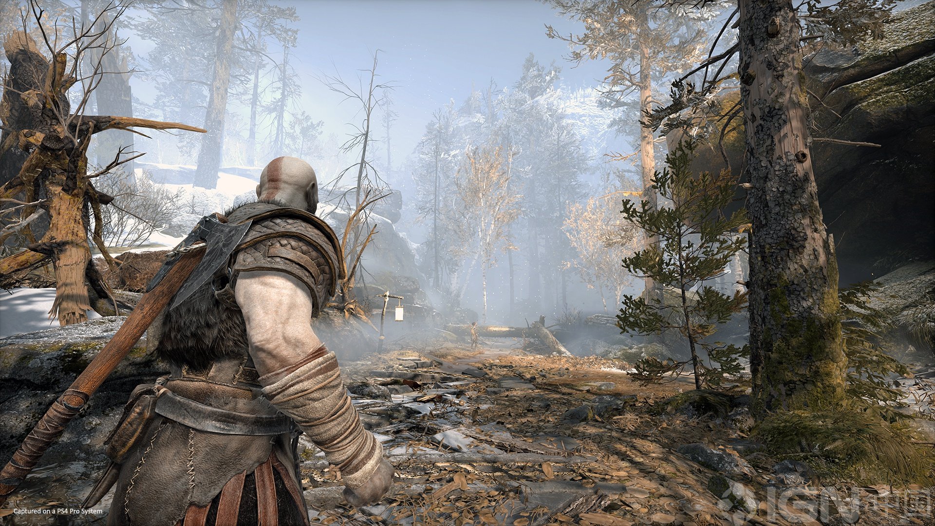 空洞骑士 年度版 截图6